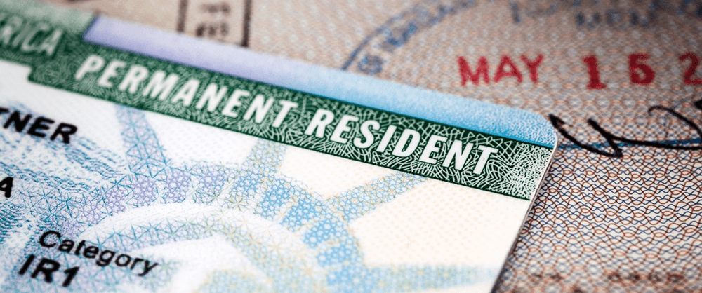 green card cover image